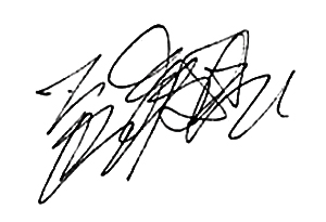 firma dell'artista